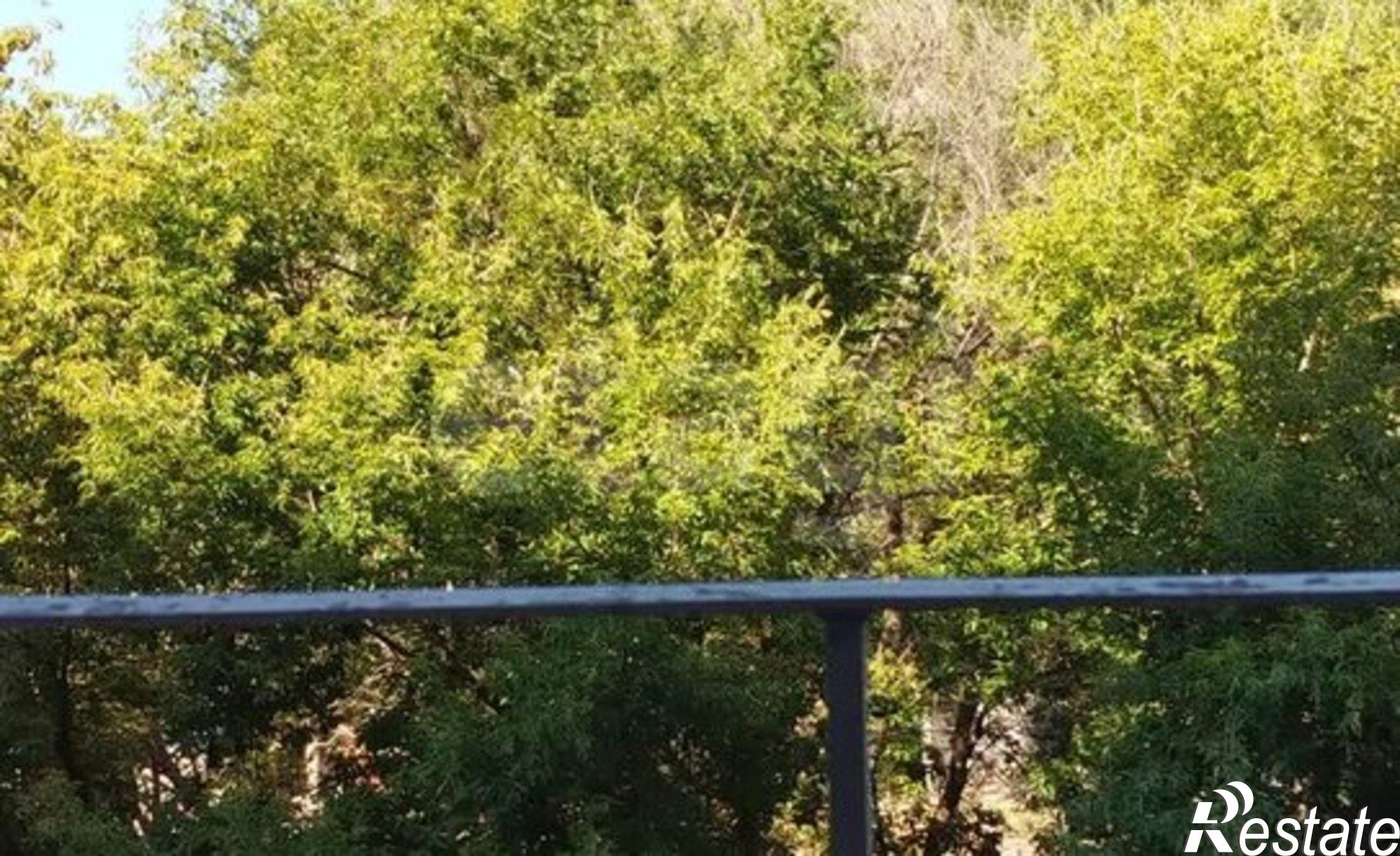 Купить квартиру за 4 299 000 рублей на ул Соколовая, 145/153