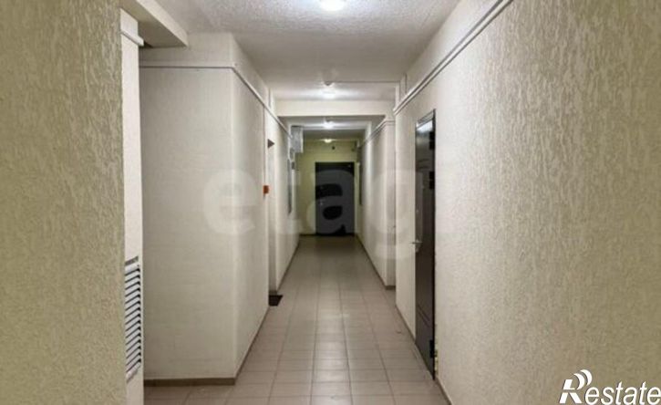 1-комн квартира ул им Кривохижина Александра, 4,  д. 4