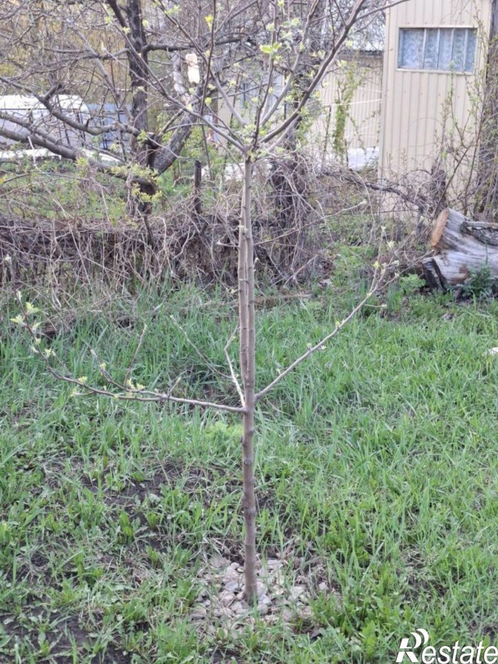 Коттедж/дом 3-й Ореховый пр-д, 283,  д. 283