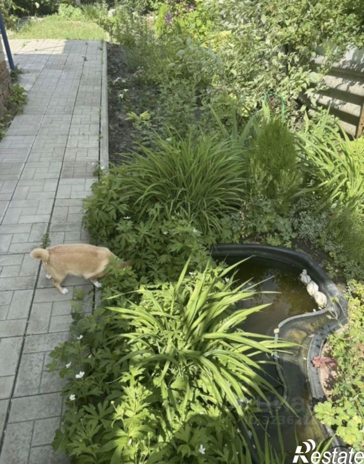 Коттедж/дом «Каспий»