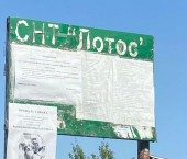 земля 485 сот СНТ Лотос, 54