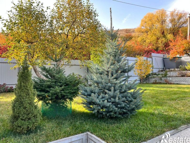 Коттедж/дом СНТ Родничок-71