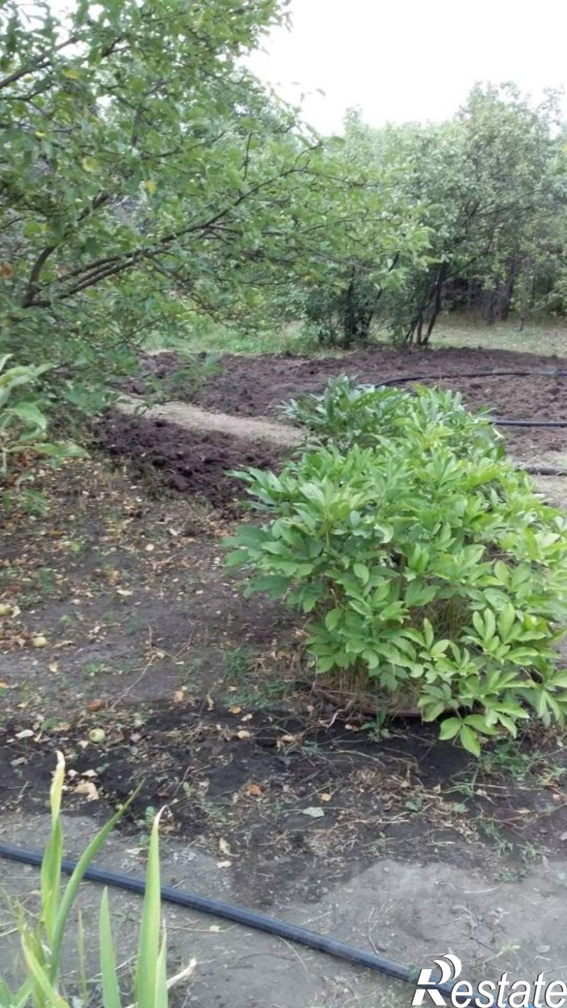 Купить дачу, дом, коттедж за 1 550 000 рублей на СНТ Южный-1, 9-й Латрыковый проезд, 135