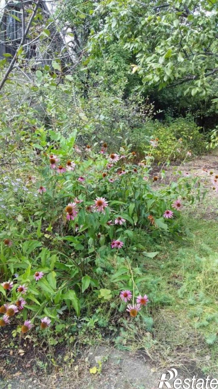 Коттедж/дом СНТ Южный-1, 9-й Латрыковый проезд, 135