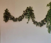 комната 64 кв м ул им Тулайкова Н.М., 2Б