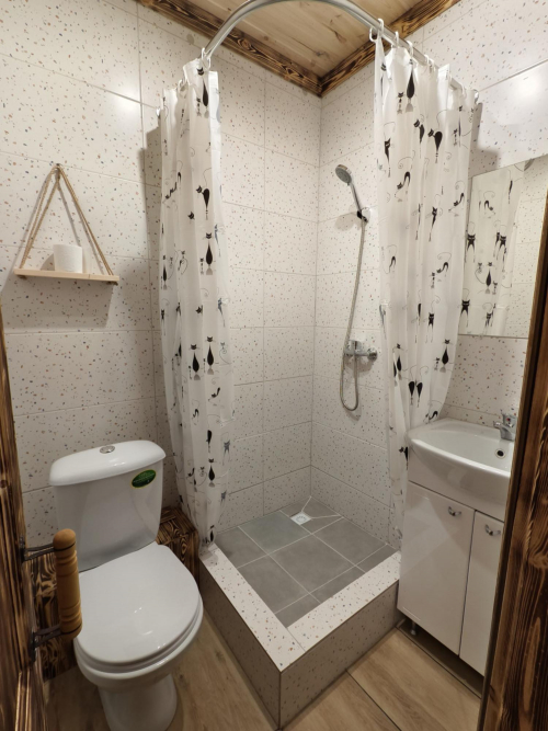 Продажа дома деревня Трещиха