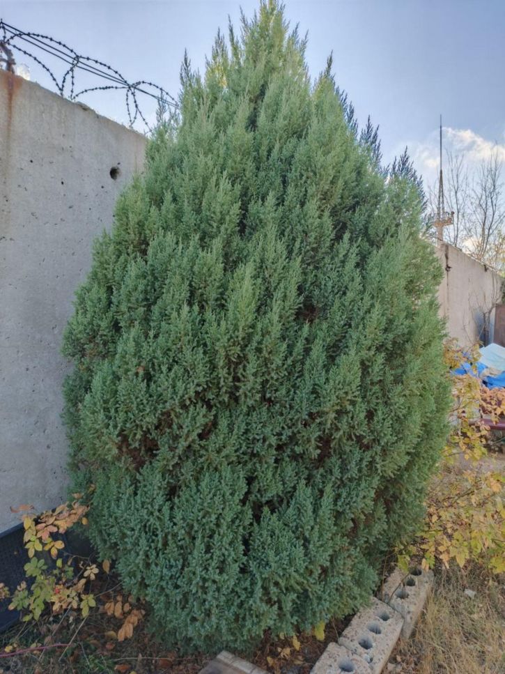 Коттедж/дом Взлётная ул, 1