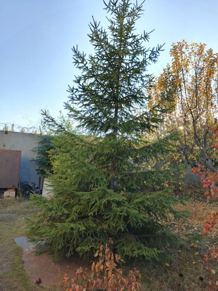 Коттедж/дом Взлётная ул, 1