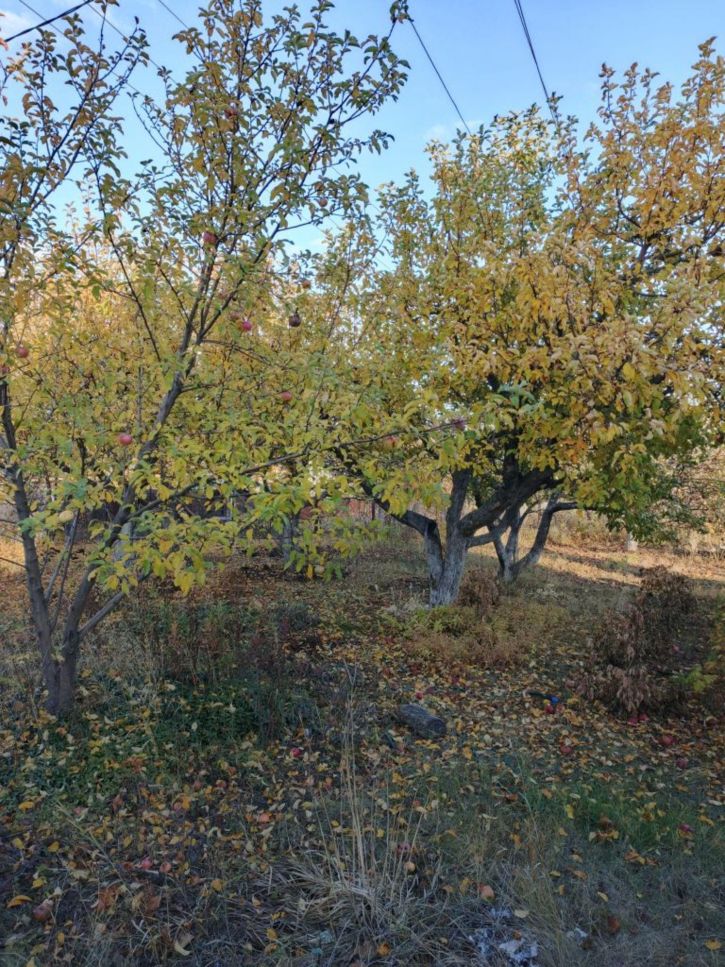 Коттедж/дом Взлётная ул, 1