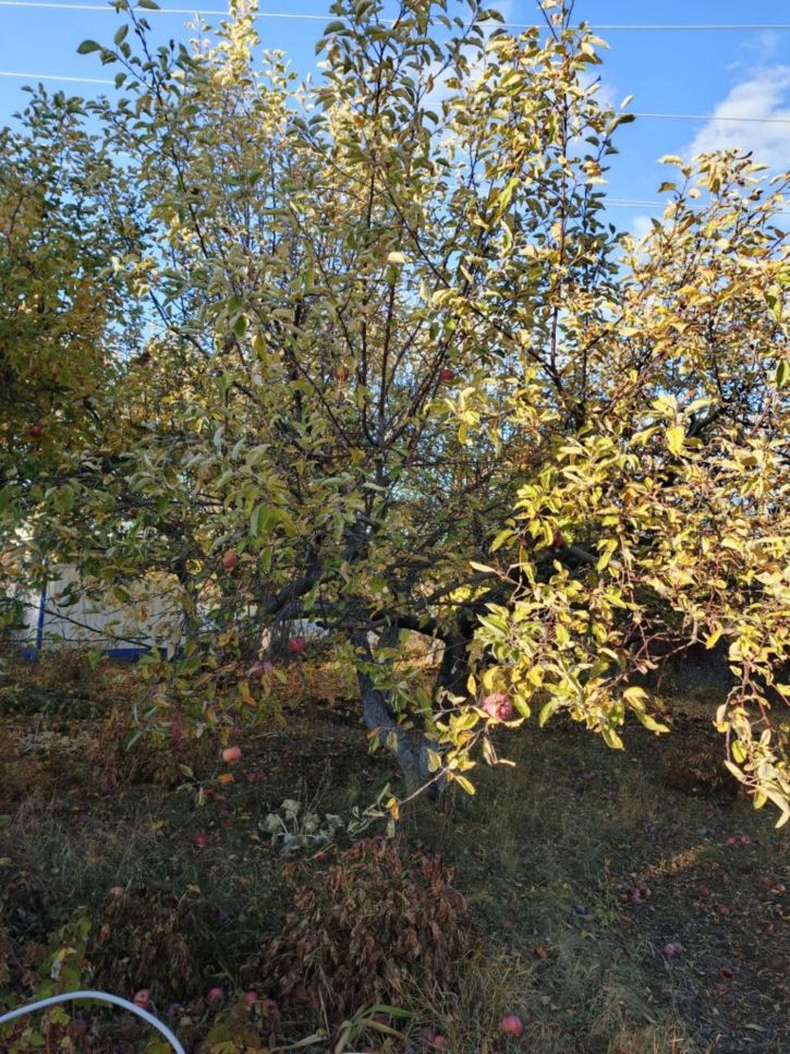 Коттедж/дом Взлётная ул, 1