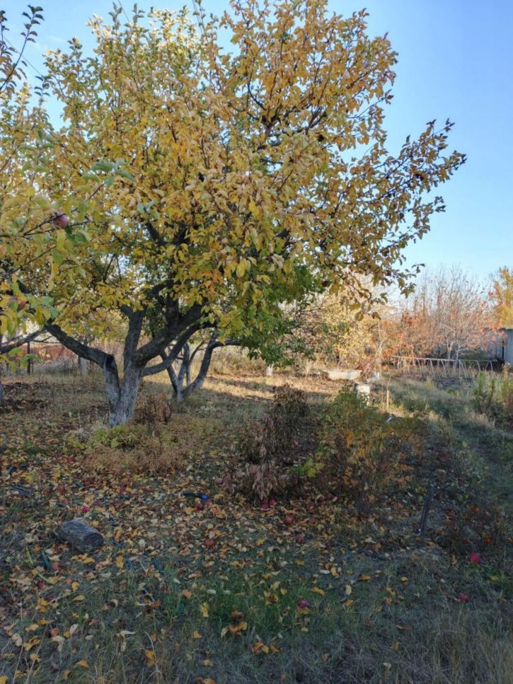 Коттедж/дом Взлётная ул, 1