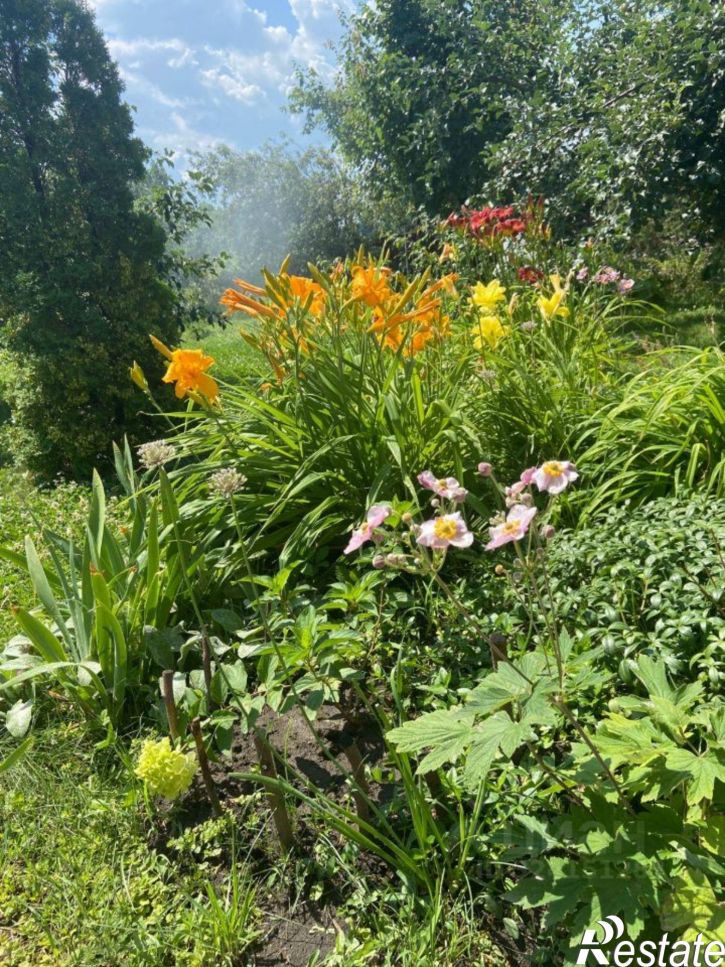 Коттедж/дом СТ Кедр, 209