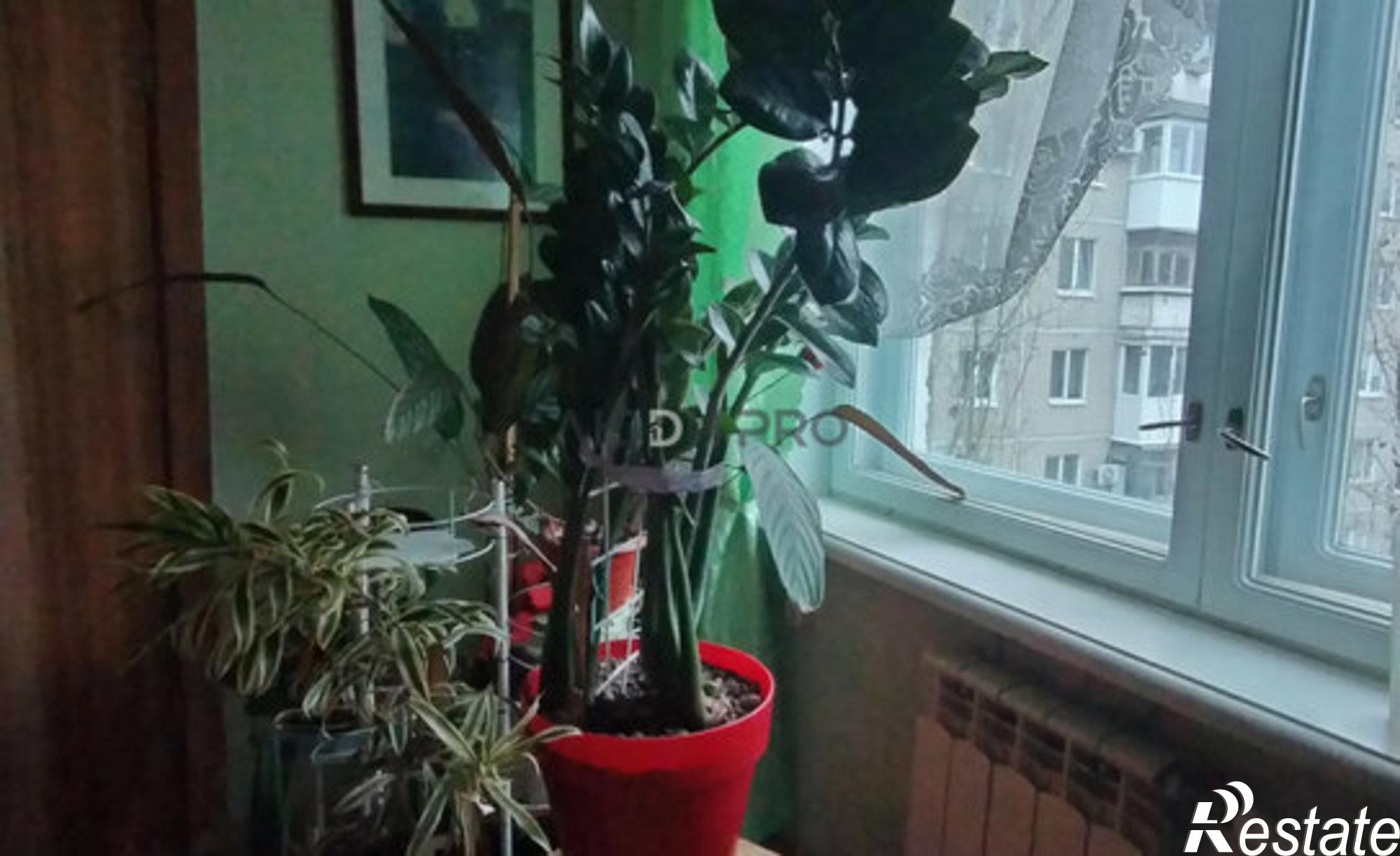 Купить квартиру за 5 600 000 рублей на улица Мичурина, 4