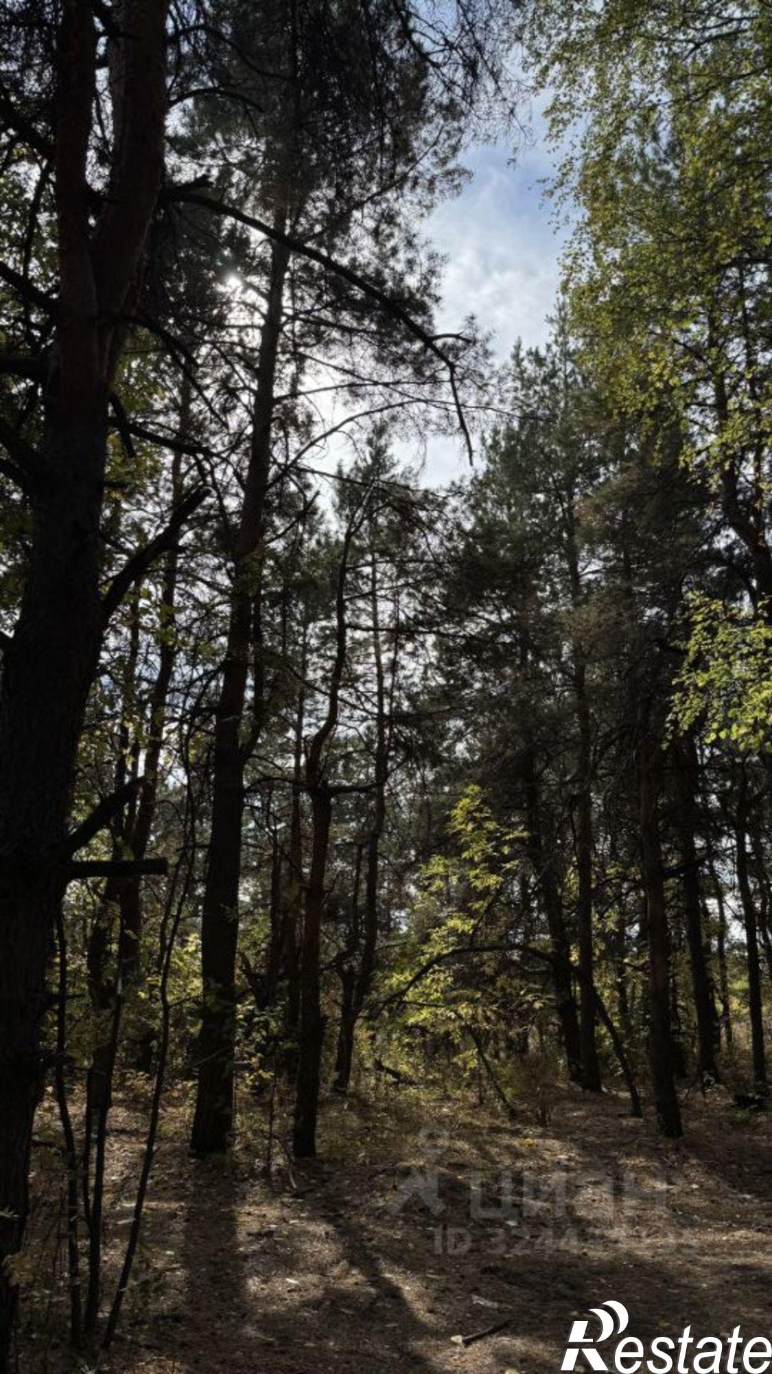 Купить землю, земельный участок за 700 000 рублей на Большой Черешневый проезд