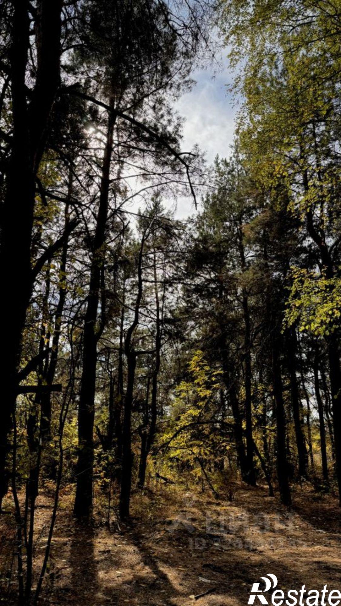 Купить землю, земельный участок за 700 000 рублей на Большой Черешневый проезд