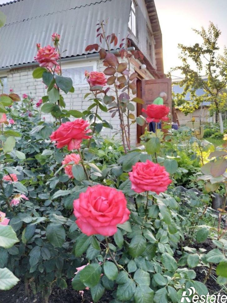 Коттедж/дом СНТ Космонавт, 159