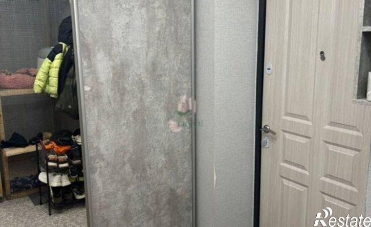 1-комн квартира ул им Николая Нишнева, 6,  д. 6