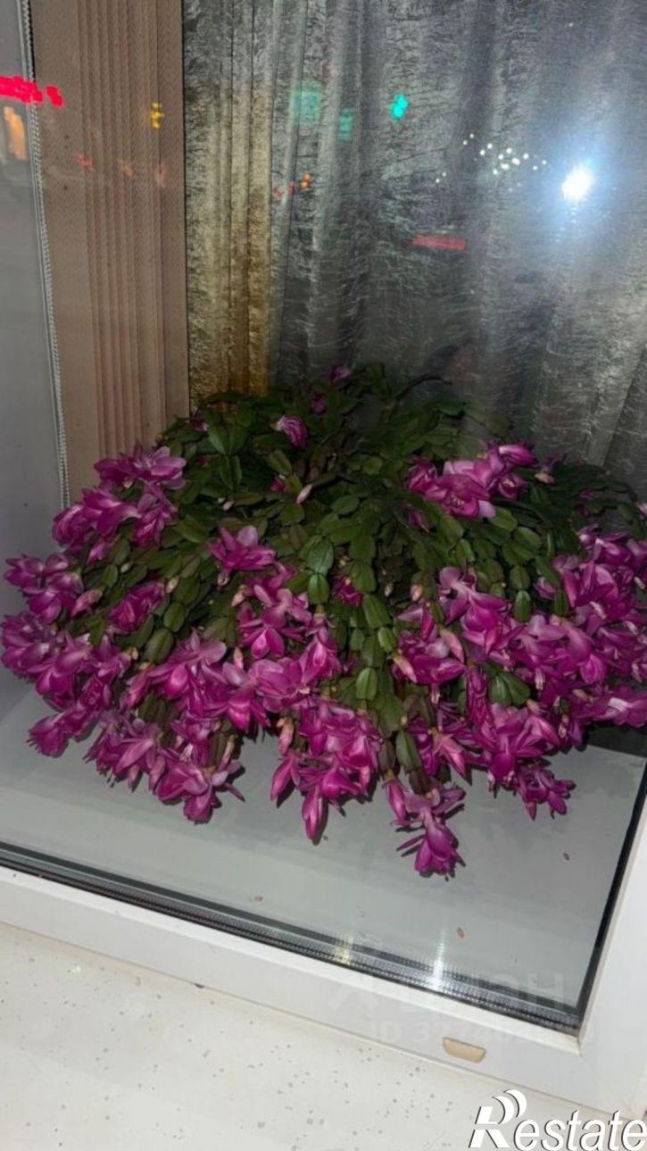 Комната пр-кт Энтузиастов, 64,  д. 64