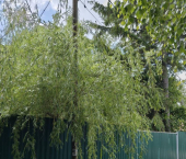 коттедж 80 кв м Малая Яровая улица