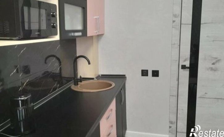1-комн квартира ул Романтиков, 46Б,  д. 46Б