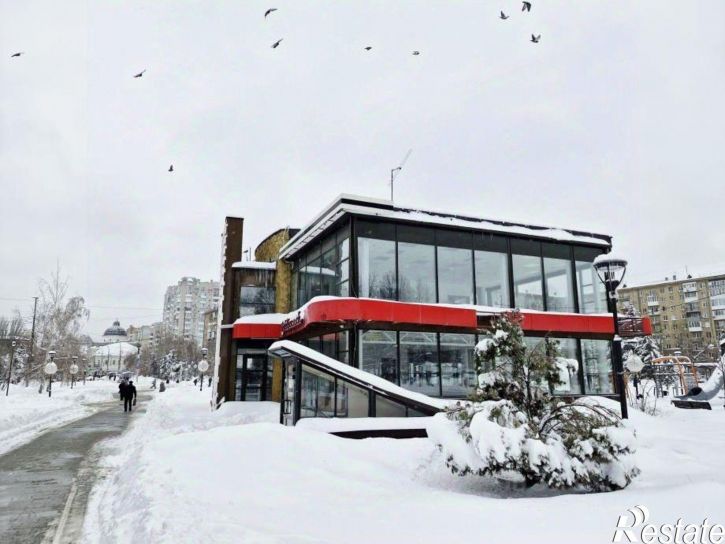 Отдельное здание пл им Кирова С.М., 1Д,  д. 1Д