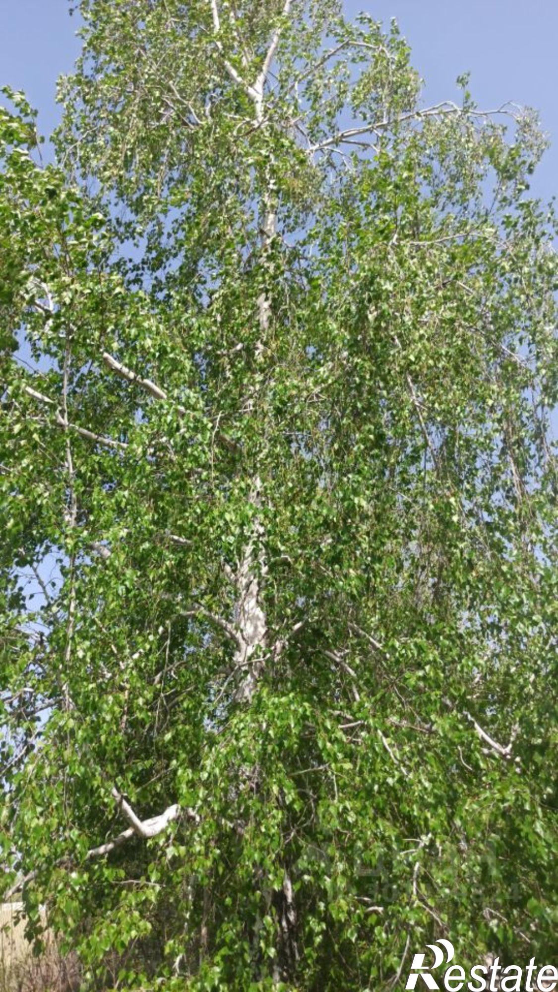 Купить землю, земельный участок за 850 000 рублей на СНТ Заря-72