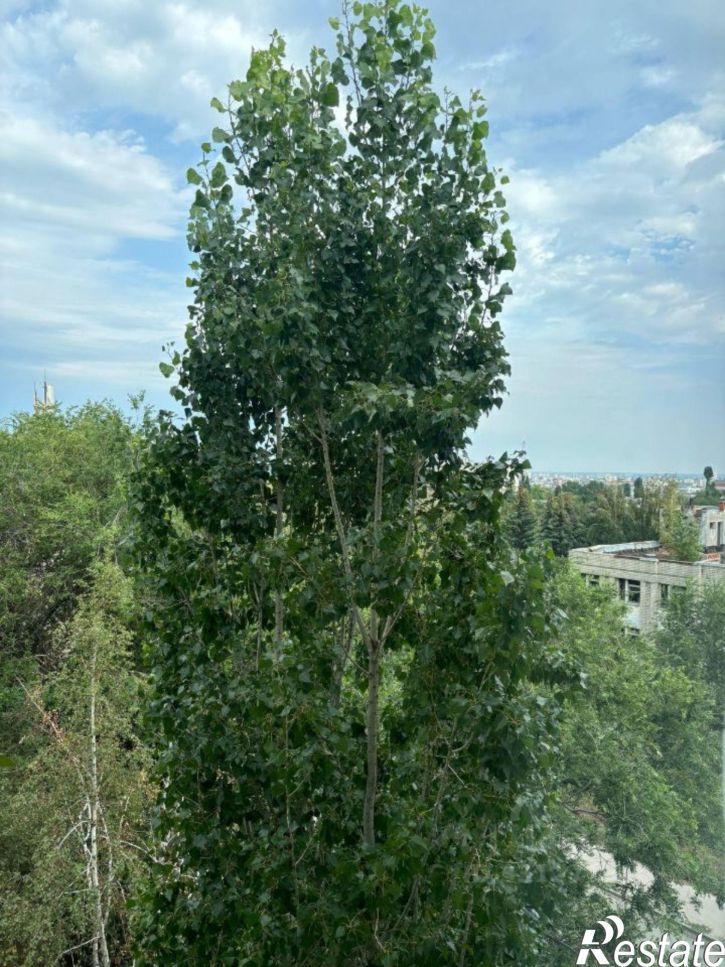 Комната Волгоградская улица, 8,  д. 8