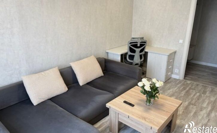 3-комн квартира ул Романтиков, 46,  д. 46