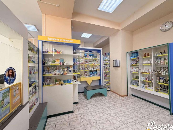 Торговое помещение Шехурдина улица, 44