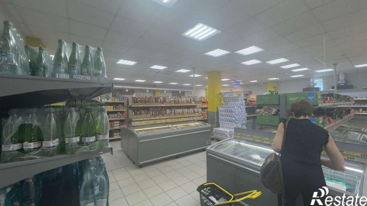 Торговое помещение имени Н.Г. Чернышевского улица, 203