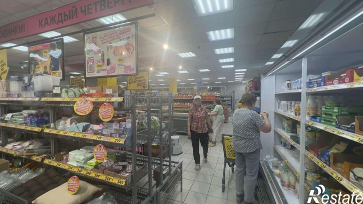 Торговое помещение имени Н.Г. Чернышевского улица, 203
