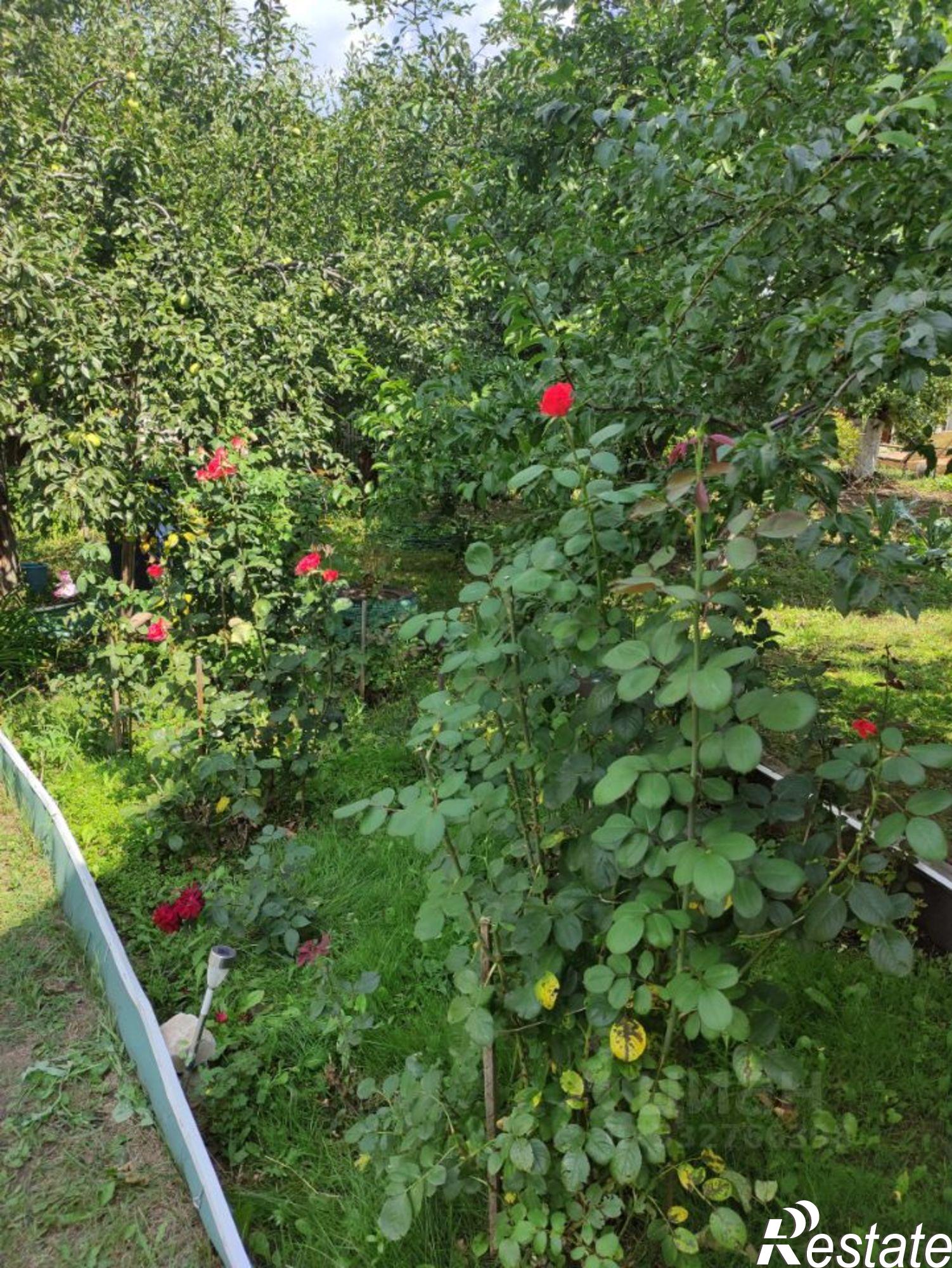 Купить дачу, дом, коттедж за 2 000 000 рублей на СНТ Темп-2, 49