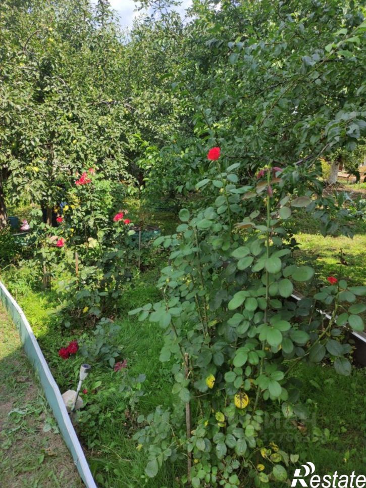 Коттедж/дом СНТ Темп-2, 49
