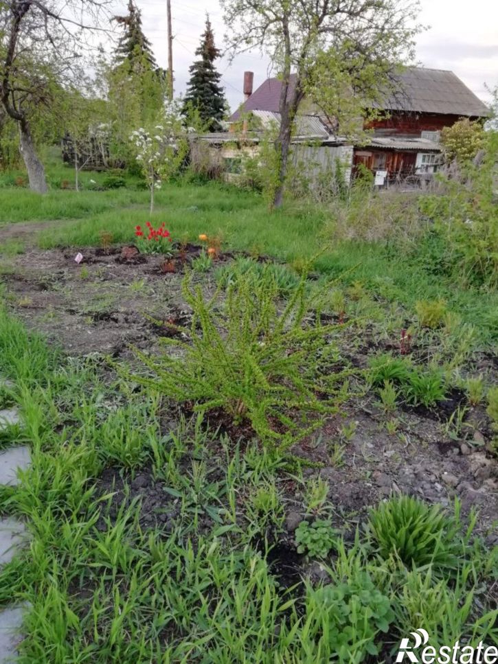 Коттедж/дом село Пудовкино
