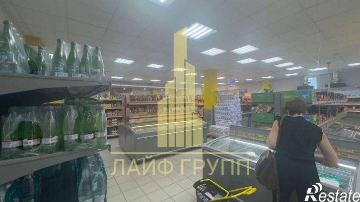 Торговое помещение имени Н.Г. Чернышевского улица, 203