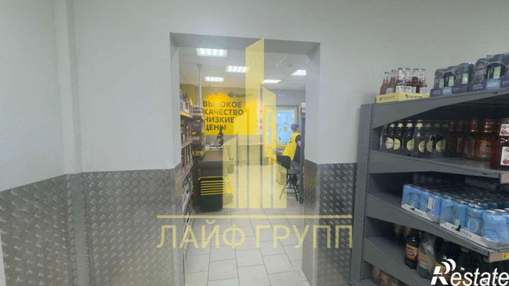 Торговое помещение имени Н.Г. Чернышевского улица, 203