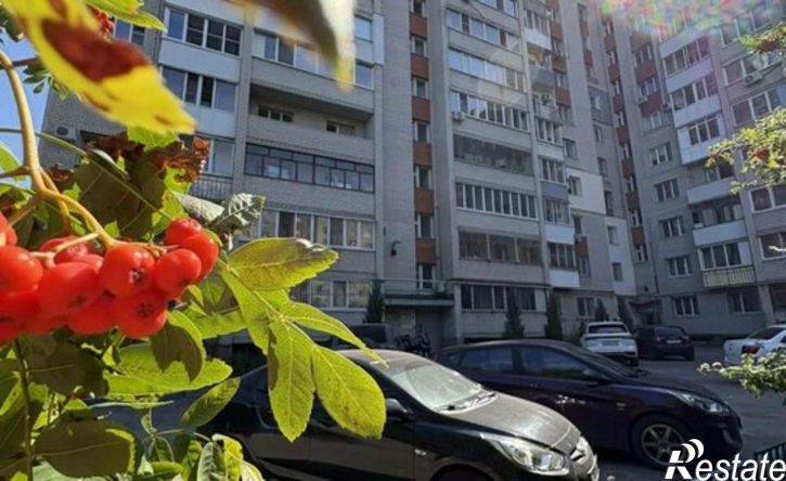 1-комн квартира Луговая улица, 100,  д. 100
