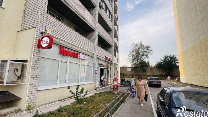 Торговое помещение Романтиков улица, 46кб