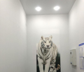 офис 10 кв м, этаж 2/2 Московская улица, 89
