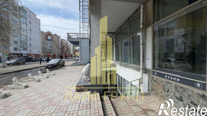 Торговое помещение имени Н.Г. Чернышевского улица, 203