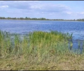 земля 220 сот с. Усть-Курдюм